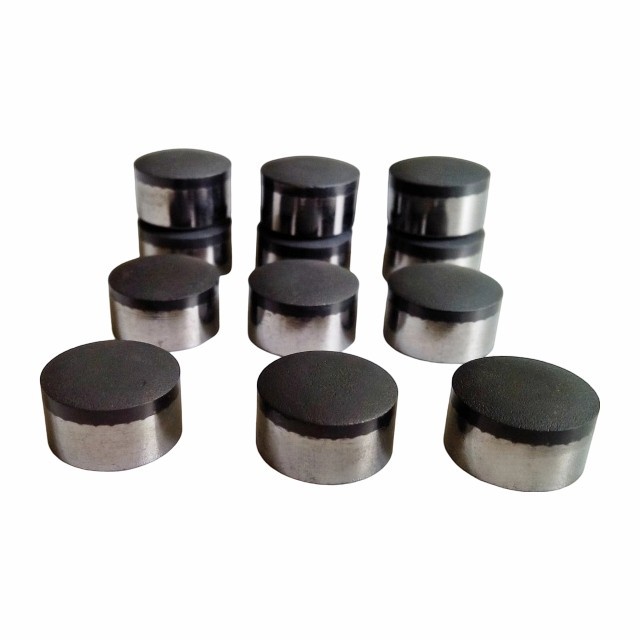Micro arc PDC cutter (2)